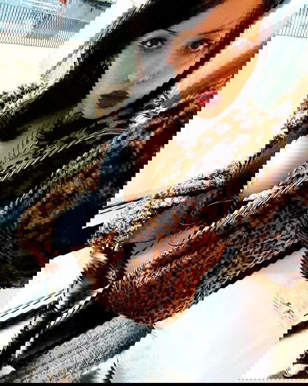 lilarosepalaza lilarosepalaza archive image