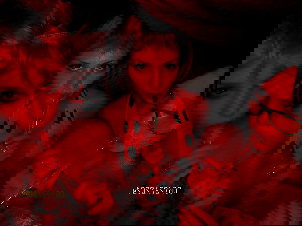 lilarosepalaza lilarosepalaza archive image