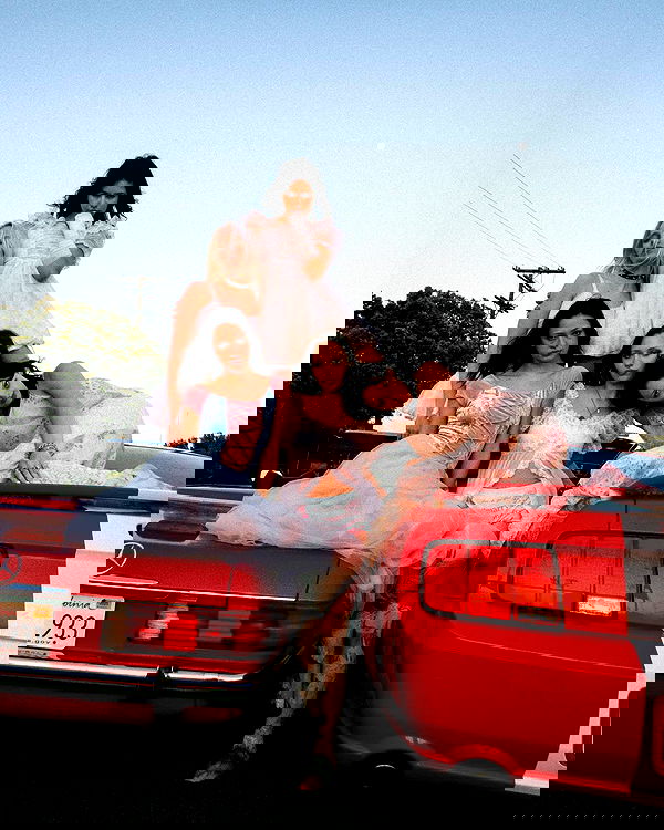 lilarosepalaza lilarosepalaza archive image