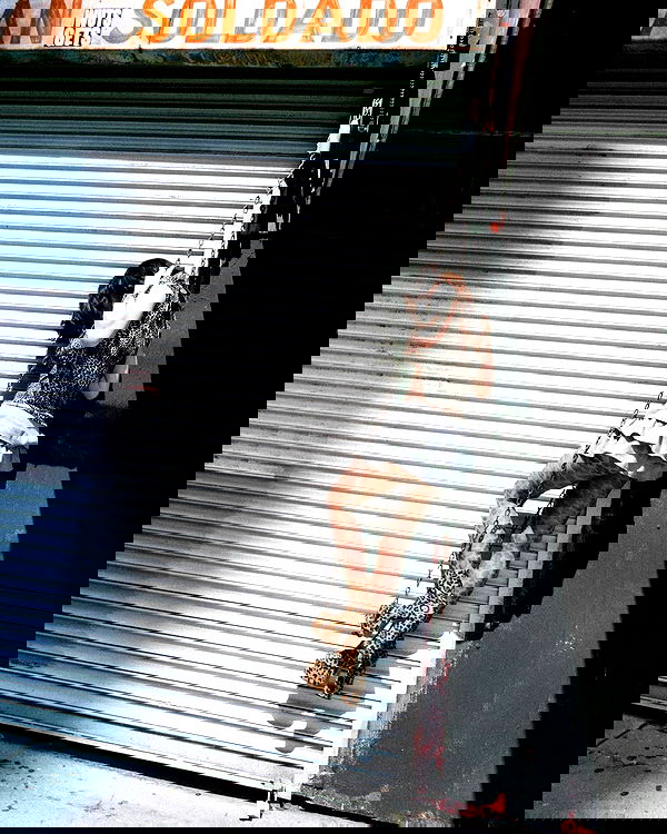 lilarosepalaza lilarosepalaza archive image