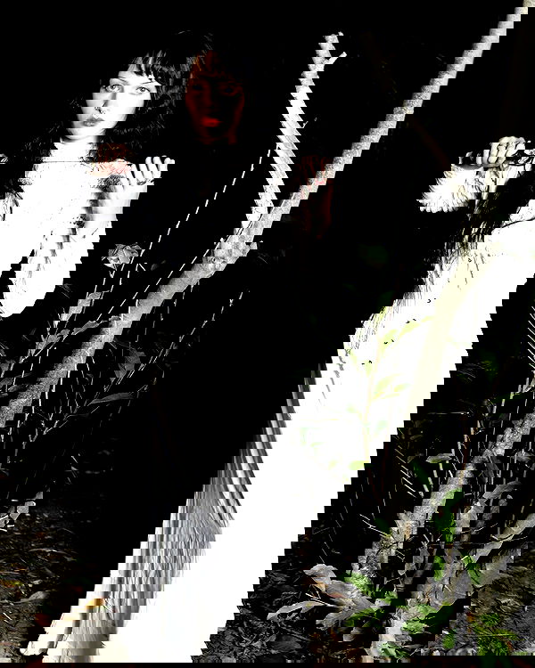 lilarosepalaza lilarosepalaza archive image