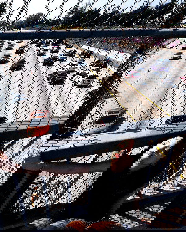 lilarosepalaza lilarosepalaza archive image