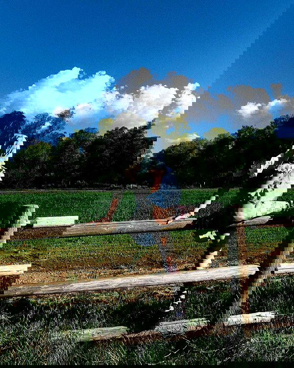 lilarosepalaza lilarosepalaza archive image