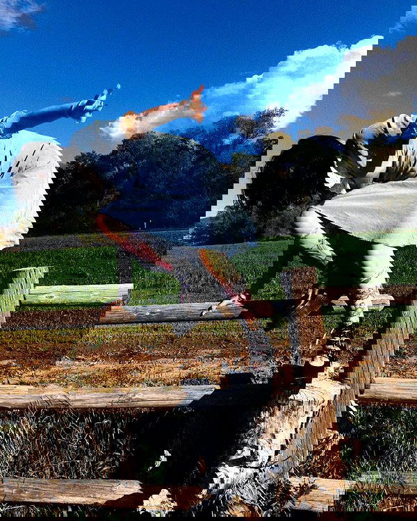 lilarosepalaza lilarosepalaza archive image