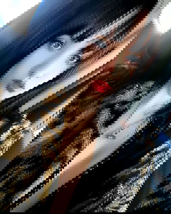 lilarosepalaza lilarosepalaza archive image