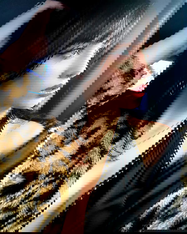 lilarosepalaza lilarosepalaza archive image