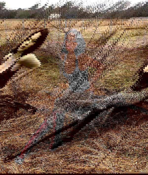 lilarosepalaza lilarosepalaza archive image