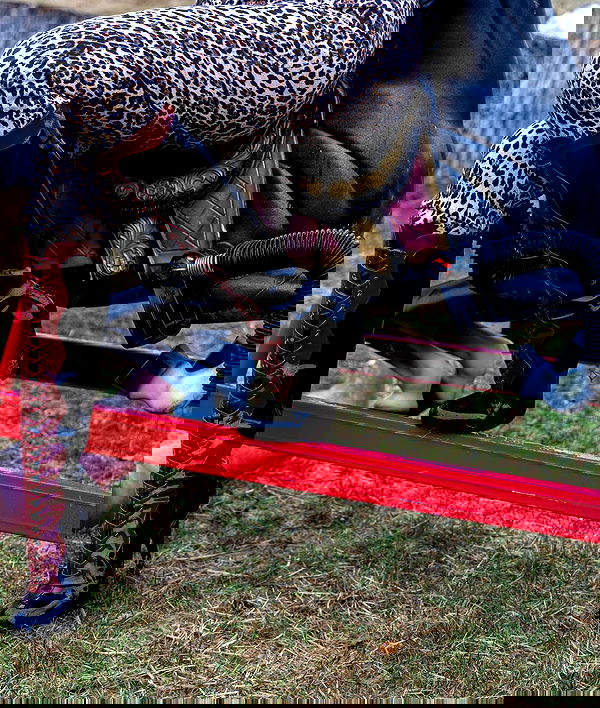 lilarosepalaza lilarosepalaza archive image