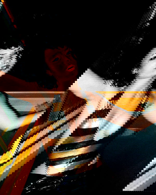 lilarosepalaza lilarosepalaza archive image