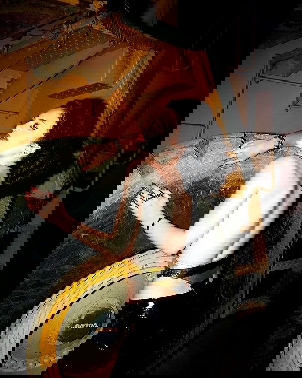 lilarosepalaza lilarosepalaza archive image