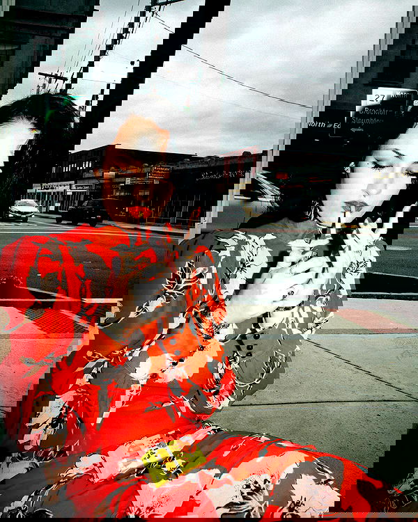 lilarosepalaza lilarosepalaza archive image