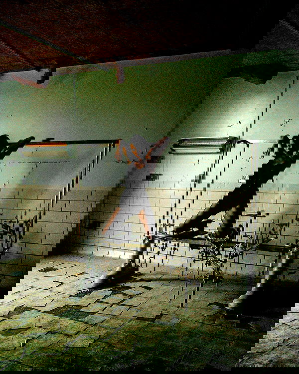 lilarosepalaza lilarosepalaza archive image