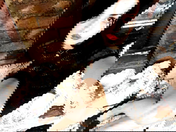 lilarosepalaza lilarosepalaza archive image