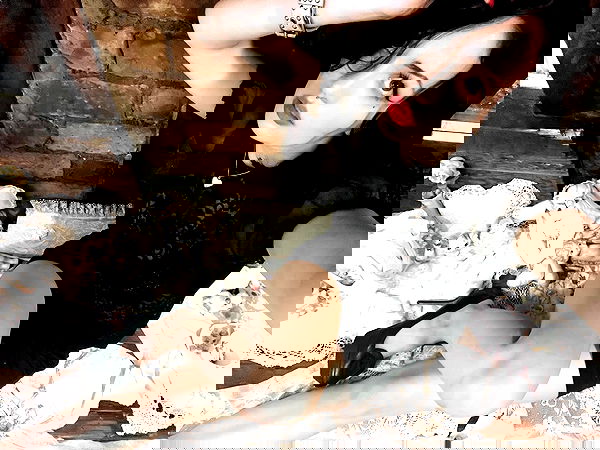 lilarosepalaza lilarosepalaza archive image