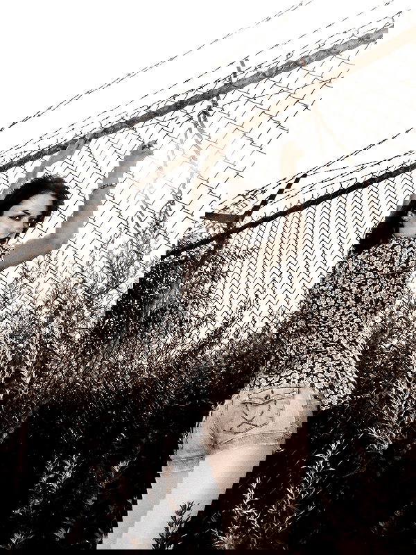 lilarosepalaza lilarosepalaza archive image