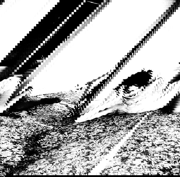 lilarosepalaza lilarosepalaza archive image