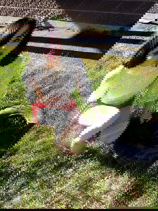 lilarosepalaza lilarosepalaza archive image