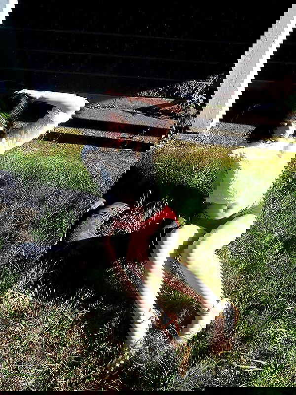 lilarosepalaza lilarosepalaza archive image