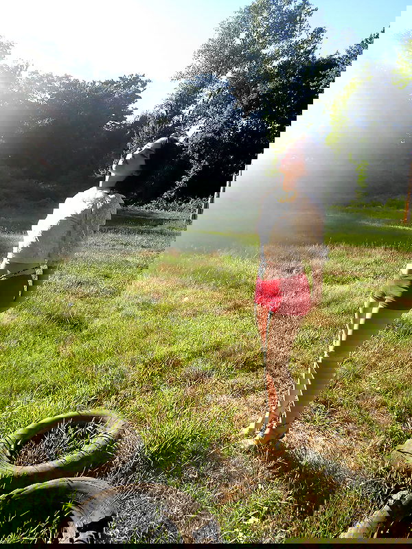 lilarosepalaza lilarosepalaza archive image