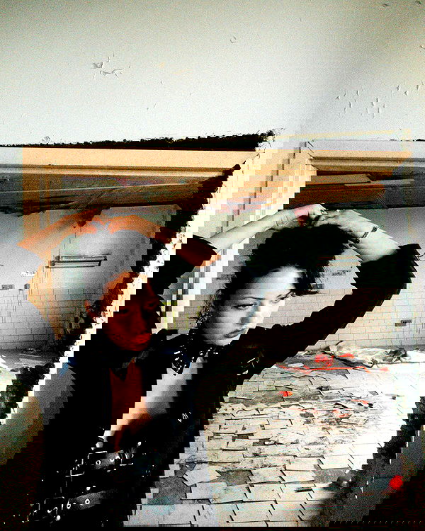 lilarosepalaza lilarosepalaza archive image