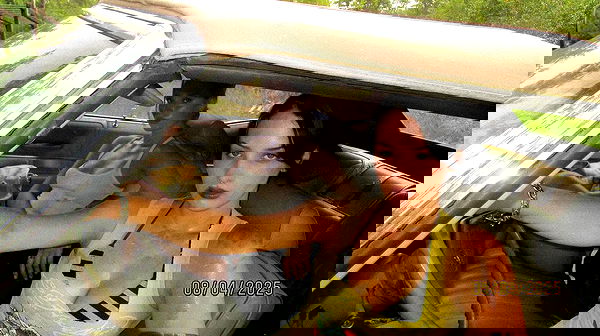 lilarosepalaza lilarosepalaza archive image