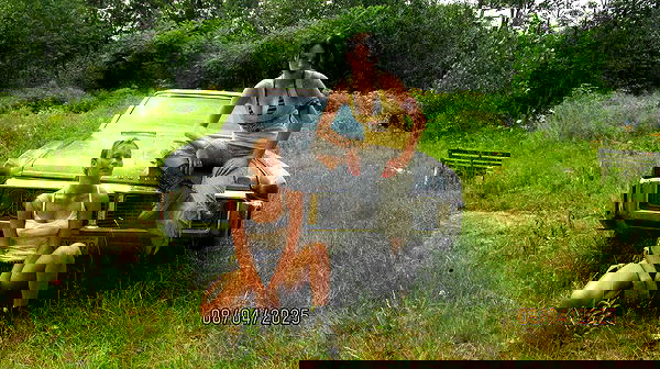 lilarosepalaza lilarosepalaza archive image