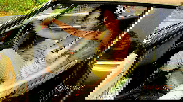 lilarosepalaza lilarosepalaza archive image