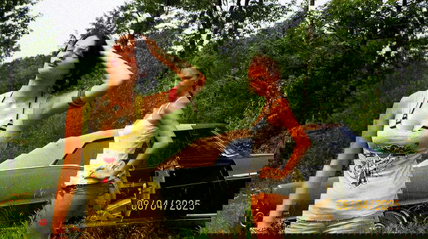 lilarosepalaza lilarosepalaza archive image