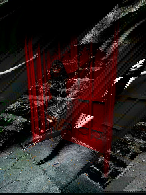 lilarosepalaza lilarosepalaza archive image