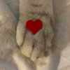 lilicapie Altpins Profile Picture