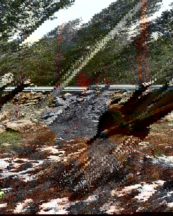 lilllush lilllush archive image