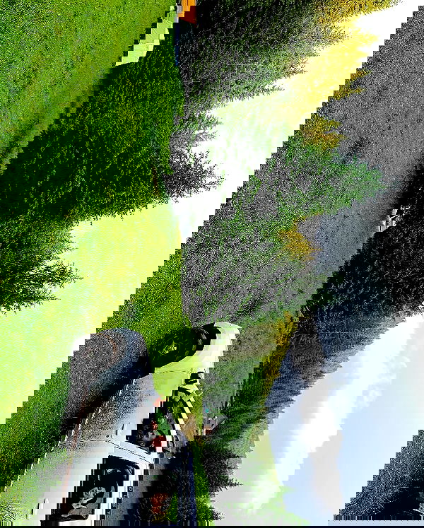 lilllush lilllush archive image