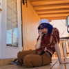 lilmochidoll Altpins Profile Picture