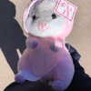 lilmochidoll Altpins Profile Picture