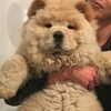 lilmochidoll Altpins Profile Picture