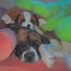 lilmochidoll Altpins Profile Picture