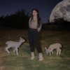 lilmochidoll Altpins Profile Picture