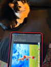 lilmochidoll Altpins Profile Picture