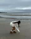 lilsyourfav Altpins Profile Picture