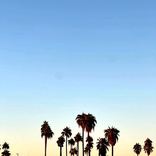lilsyourfav instagram image archive image