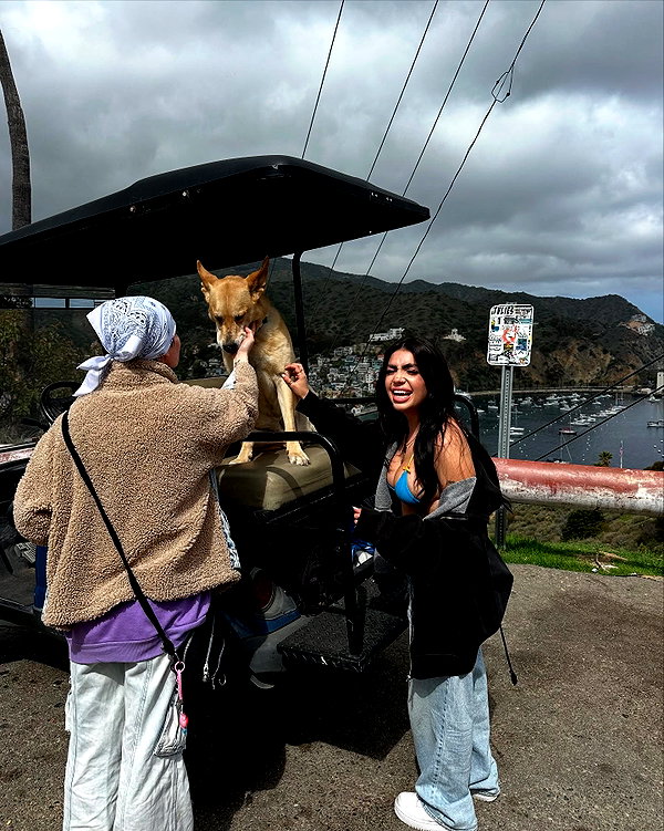 lilsyourfav instagram image archive image