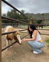 lilsyourfav Altpins Profile Picture