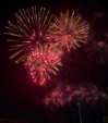lily.spaul08 Altpins Profile Picture
