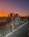 lilyphillipss Altpins Profile Picture
