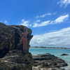 lilyphillipss Altpins Profile Picture