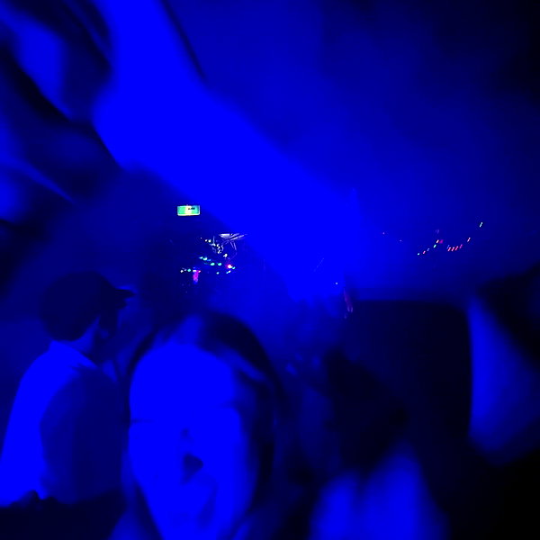 lilyphillipss instagram image archive image