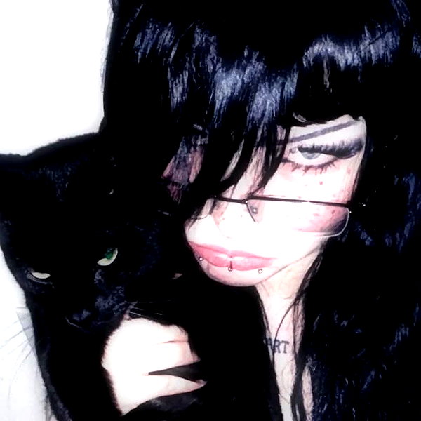 lilznvv lilznvv archive image