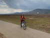 limonnnie Altpins Profile Picture