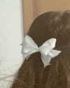 limonnnie Altpins Profile Picture