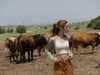 limonnnie Altpins Profile Picture